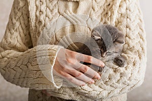 Woman holding her striped cat. Gray striped kitten play with female hand in a beige sweater. cozy home, pets, Little cute striped