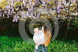 Woman is holding her toddler under a wysteria tree