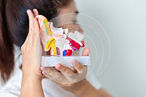 Woman holding human Ear anatomy model. Ear disease, Atresia, Otitis Media, Pertorated Eardrum, Meniere syndrome, otolaryngologist photo