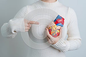 Woman holding human Heart model. Cardiovascular Diseases, Atherosclerosis, Hypertensive Heart, Valvular Heart, Aortopulmonary photo