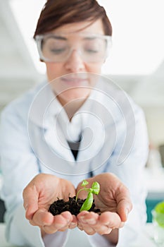 Woman holding a little plant with soil