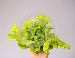 A Woman is holding lovely and healthy vegetables