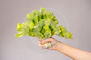 A Woman is holding lovely and healthy vegetables