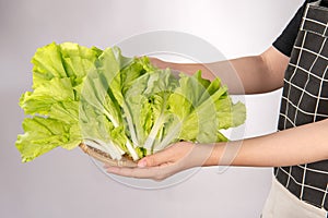 A Woman is holding lovely and healthy vegetables