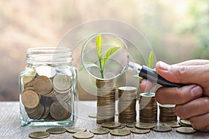 Woman  holding magnifying glass with coin and tree growing. coins business growth.Hand holding magnifying glass with Money growing