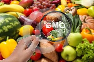Woman holding magnifying glass over fresh vegetables and fruits, closeup. GMO concept