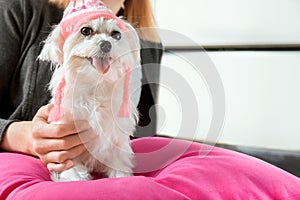 Woman holding a maltese dog