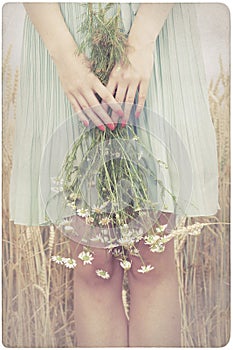 Woman holding marguerite flowers