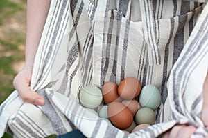 Woman Holding Organic Eggs in Her Apron