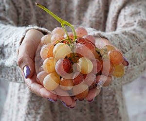 Woman holding pink grapes