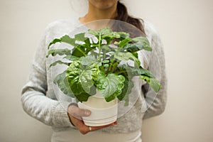 Woman holding plant with one hand