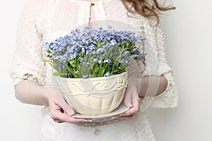 Woman holding a pot with forget-me-not flowers