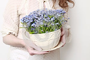 Woman holding a pot with forget-me-not flowers