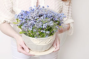 Woman holding a pot with forget-me-not flowers