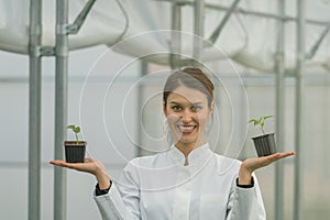 Woman holding potted plant in greenhouse nursery. Seedlings