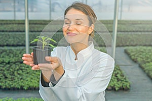 Woman holding potted plant in greenhouse nursery. Seedlings