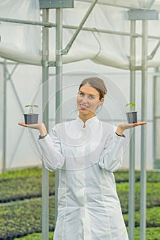 Woman holding potted plant in greenhouse nursery. Seedlings Greenhouse