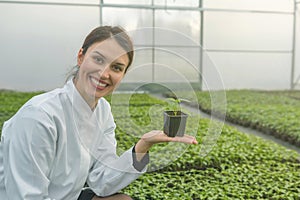 Woman holding potted plant in greenhouse nursery. Seedlings Greenhouse