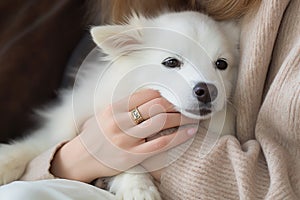 Woman holding puppy dog paw indoors. Generate Ai