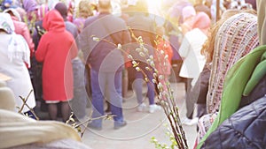 Woman holding pussy willow twigs for Christian church holiday Palm Sunday, copy space