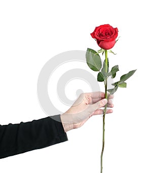 Woman holding a red rose