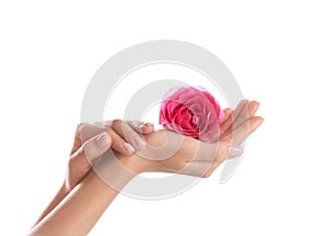 Woman holding rose on white background, closeup.