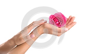 Woman holding rose on white background. Spa treatment