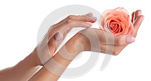 Woman holding rose on white background. Spa treatment