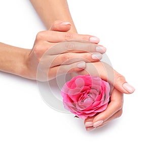 Woman holding rose on white background. Spa treatment