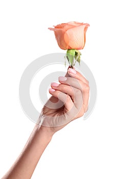 Woman holding rose on white background. Spa treatment