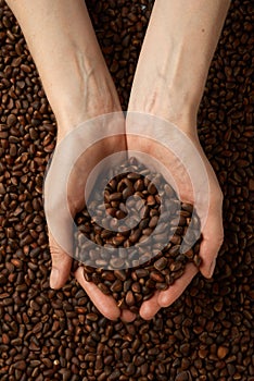 Woman holding shelled pine nuts, closeup. Organic snack, healthy food, top view