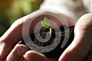Woman holding soil with little green seedling