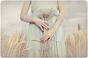 Woman holding some corn spikes photo