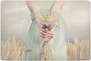 Woman holding some corn spikes photo