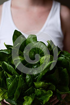 Woman holding spinach bouquet