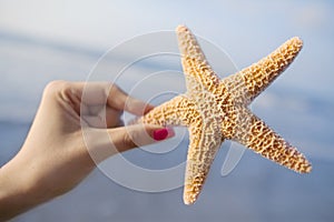 Woman holding starfish at the beach