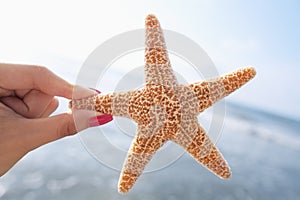 Woman holding starfish at the beach