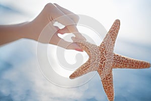 Woman holding starfish at the beach