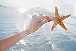 Woman holding starfish at the beach