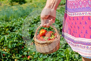 Woman holding straw basket