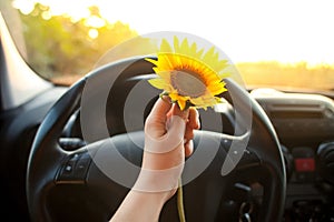 Woman holding sunflower flowers in car