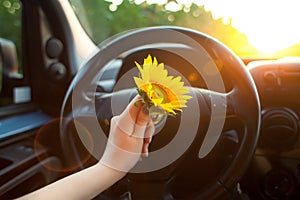 Woman holding sunflower flowers in car