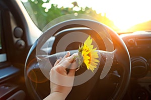 Woman holding sunflower flowers in car