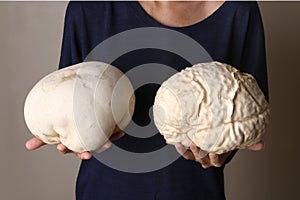 Woman holding two mushrooms Giant puffball as brain.