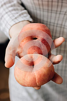 Woman holding two ripe peaches in her hands.