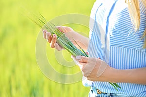 Woman holding wheat spikelets in green field