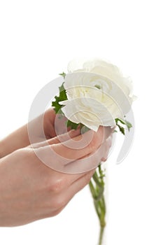 Woman Holding White Flower