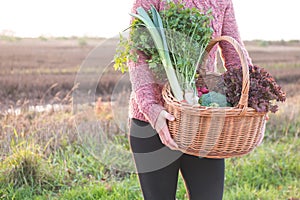 Woman holding wicker basket full of vegetables,