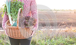 Woman holding wicker basket full of vegetables, space for text