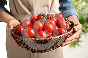 Woman holding wicker bowl with ripe cherry tomatoes